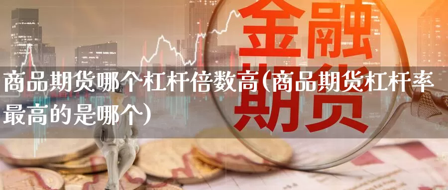 商品期货哪个杠杆倍数高(商品期货杠杆率最高的是哪个)_https://qh.wpmee.com_恒指期货_第1张