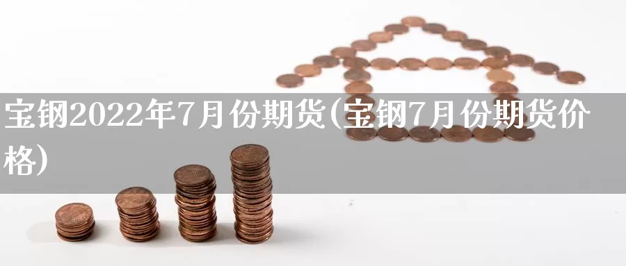 宝钢2022年7月份期货(宝钢7月份期货价格)_https://qh.wpmee.com_国际期货_第1张