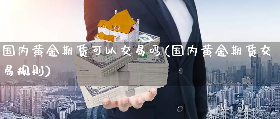 国内黄金期货可以交易吗(国内黄金期货交易规则)_https://qh.wpmee.com_期货科普_第1张