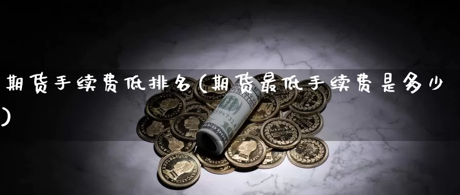 期货手续费低排名(期货最低手续费是多少)_https://qh.wpmee.com_黄金期货直播间_第1张