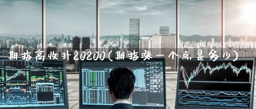 期指高收扑20200(期指涨一个点是多少)_https://qh.wpmee.com_期货直播间_第1张