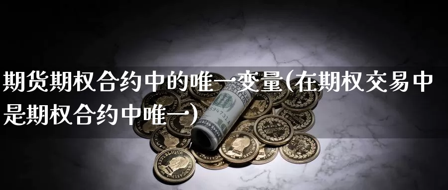 期货期权合约中的唯一变量(在期权交易中是期权合约中唯一)_https://qh.wpmee.com_期货直播间_第1张