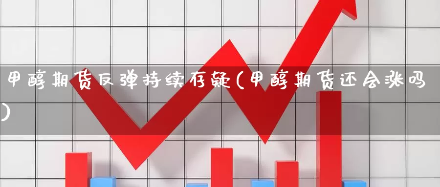 甲醇期货反弹持续存疑(甲醇期货还会涨吗)_https://qh.wpmee.com_原油期货_第1张