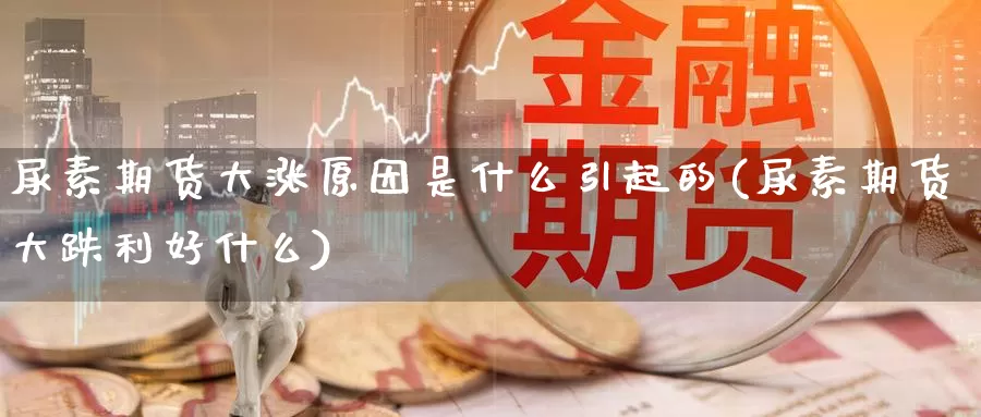 尿素期货大涨原因是什么引起的(尿素期货大跌利好什么)_https://qh.wpmee.com_国际期货_第1张