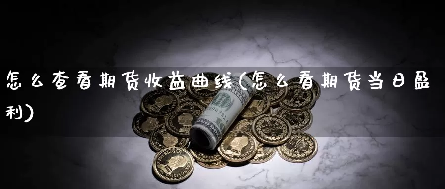 怎么查看期货收益曲线(怎么看期货当日盈利)_https://qh.wpmee.com_国际期货_第1张