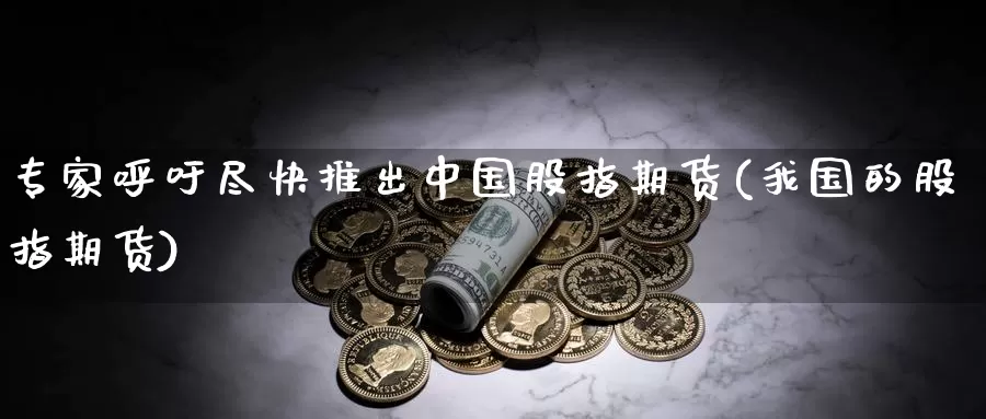 专家呼吁尽快推出中国股指期货(我国的股指期货)_https://qh.wpmee.com_国际期货_第1张