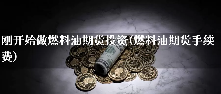 刚开始做燃料油期货投资(燃料油期货手续费)_https://qh.wpmee.com_黄金期货_第1张