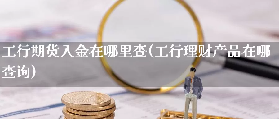 工行期货入金在哪里查(工行理财产品在哪查询)_https://qh.wpmee.com_期货科普_第1张