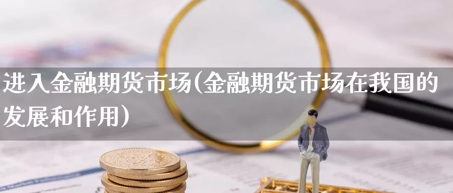 进入金融期货市场(金融期货市场在我国的发展和作用)_https://qh.wpmee.com_黄金期货直播间_第1张