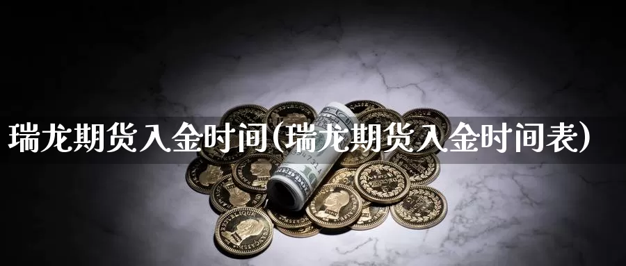 瑞龙期货入金时间(瑞龙期货入金时间表)_https://qh.wpmee.com_原油期货直播间_第1张