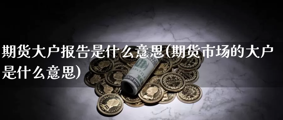 期货大户报告是什么意思(期货市场的大户是什么意思)_https://qh.wpmee.com_期货科普_第1张