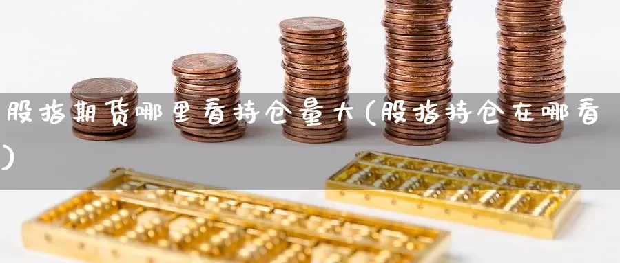 股指期货哪里看持仓量大(股指持仓在哪看)_https://qh.wpmee.com_原油期货_第1张