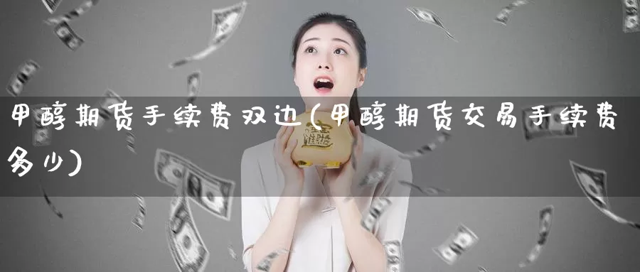 甲醇期货手续费双边(甲醇期货交易手续费多少)_https://qh.wpmee.com_黄金期货直播间_第1张