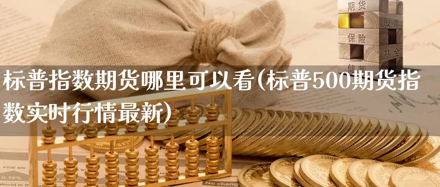 标普指数期货哪里可以看(标普500期货指数实时行情最新)_https://qh.wpmee.com_黄金期货_第1张