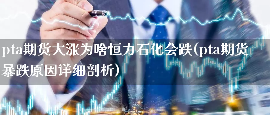 pta期货大涨为啥恒力石化会跌(pta期货暴跌原因详细剖析)_https://qh.wpmee.com_纳指期货直播室_第1张