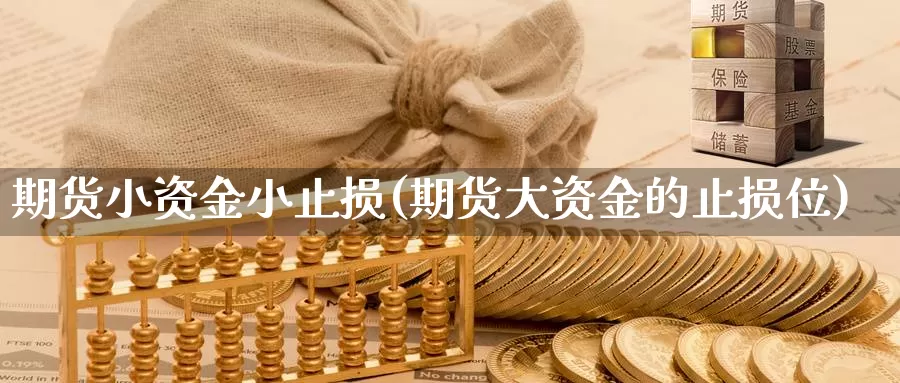 期货小资金小止损(期货大资金的止损位)_https://qh.wpmee.com_原油期货_第1张