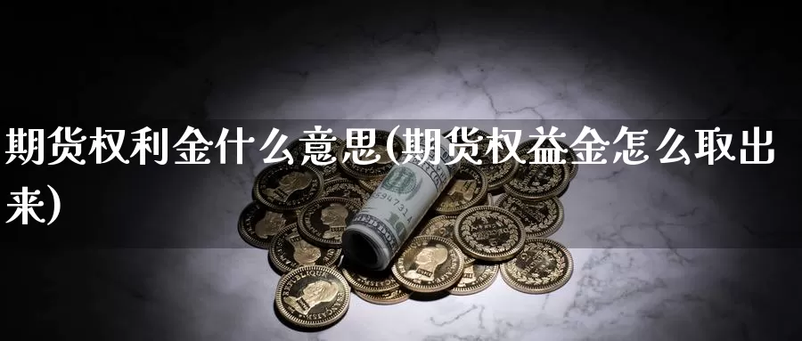 期货权利金什么意思(期货权益金怎么取出来)_https://qh.wpmee.com_黄金期货_第1张