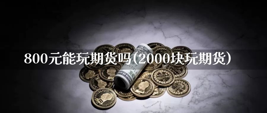 800元能玩期货吗(2000块玩期货)_https://qh.wpmee.com_恒指期货_第1张