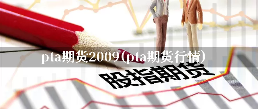 pta期货2009(pta期货行情)_https://qh.wpmee.com_国际期货_第1张