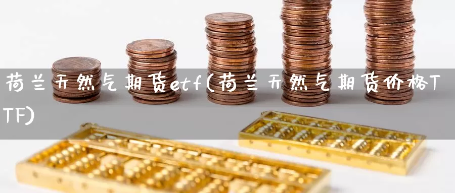 荷兰天然气期货etf(荷兰天然气期货价格TTF)_https://qh.wpmee.com_黄金直播室_第1张