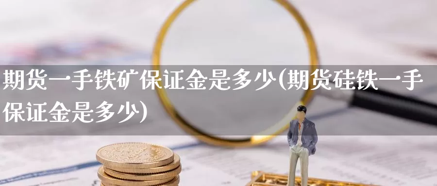 期货一手铁矿保证金是多少(期货硅铁一手保证金是多少)_https://qh.wpmee.com_恒指期货_第1张