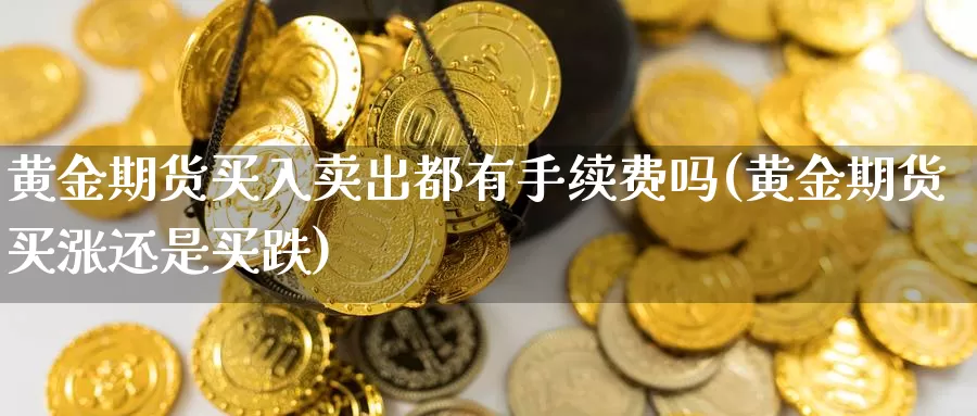 黄金期货买入卖出都有手续费吗(黄金期货买涨还是买跌)_https://qh.wpmee.com_原油期货_第1张