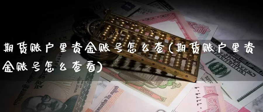 期货账户里资金账号怎么查(期货账户里资金账号怎么查看)_https://qh.wpmee.com_恒指期货_第1张