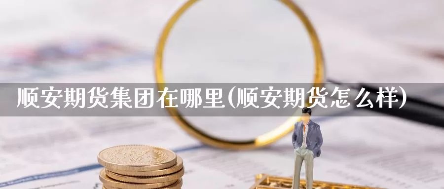 顺安期货集团在哪里(顺安期货怎么样)_https://qh.wpmee.com_期货直播间_第1张