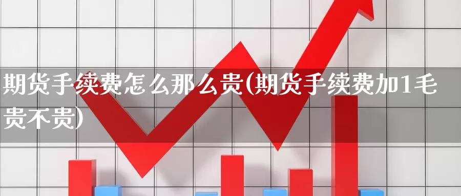 期货手续费怎么那么贵(期货手续费加1毛贵不贵)_https://qh.wpmee.com_恒指期货_第1张