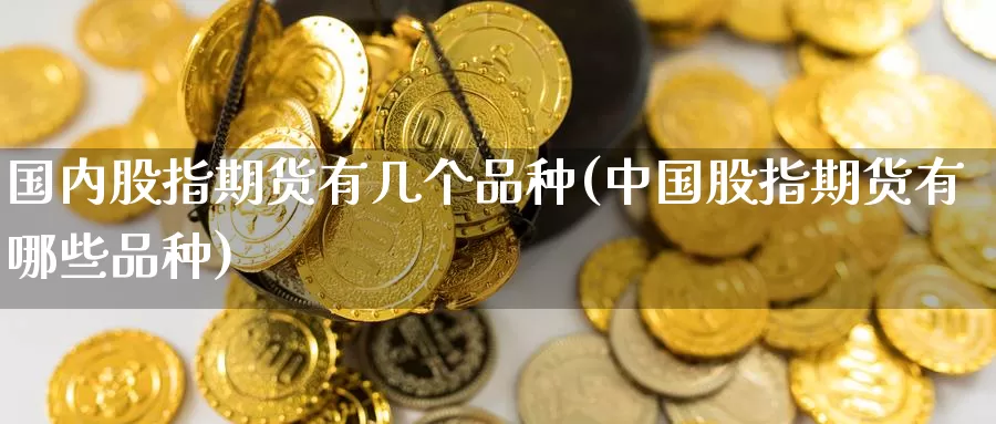 国内股指期货有几个品种(中国股指期货有哪些品种)_https://qh.wpmee.com_纳指期货直播室_第1张