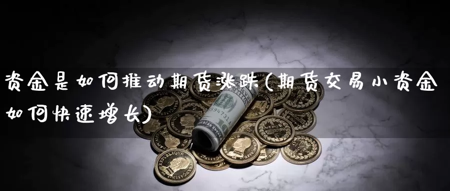 资金是如何推动期货涨跌(期货交易小资金如何快速增长)_https://qh.wpmee.com_原油期货直播间_第1张