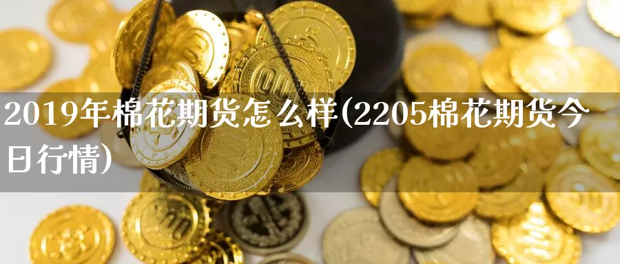 2019年棉花期货怎么样(2205棉花期货今日行情)_https://qh.wpmee.com_国际期货_第1张