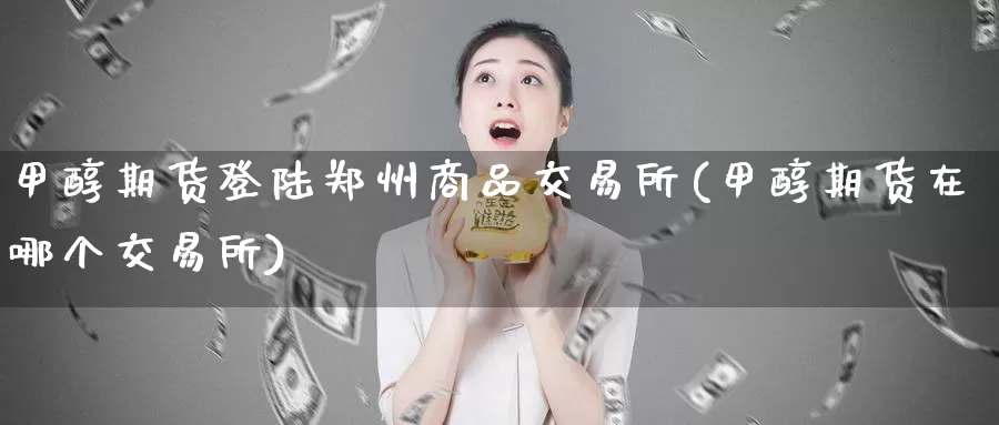 甲醇期货登陆郑州商品交易所(甲醇期货在哪个交易所)_https://qh.wpmee.com_国际期货_第1张