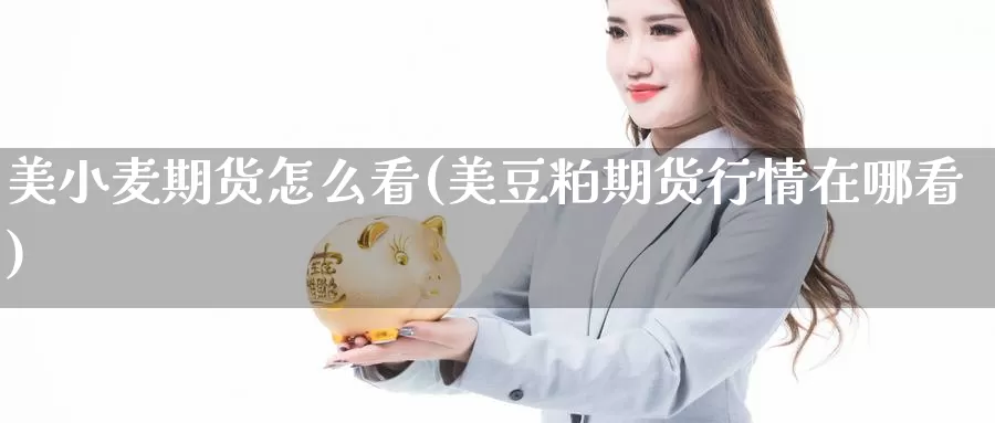 美小麦期货怎么看(美豆粕期货行情在哪看)_https://qh.wpmee.com_纳指期货直播室_第1张