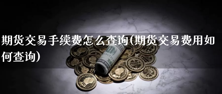 期货交易手续费怎么查询(期货交易费用如何查询)_https://qh.wpmee.com_黄金直播室_第1张