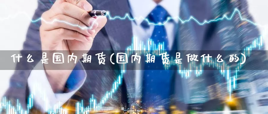 什么是国内期货(国内期货是做什么的)_https://qh.wpmee.com_恒指期货_第1张