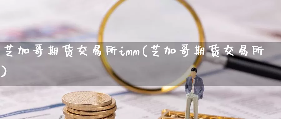 芝加哥期货交易所imm(芝加哥期货交易所)_https://qh.wpmee.com_国际期货_第1张