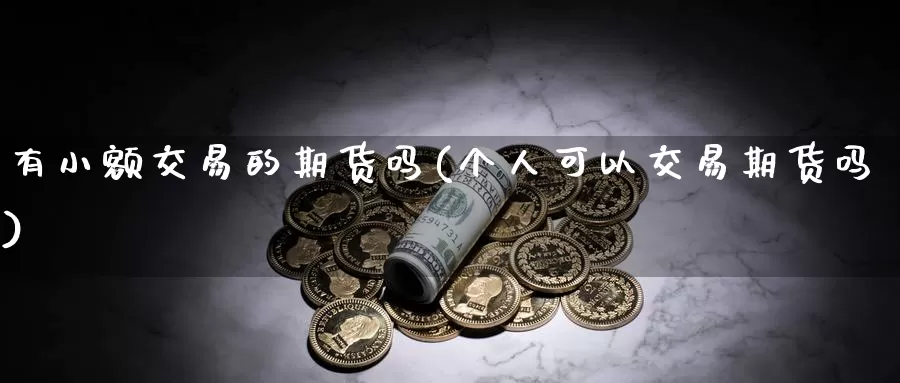 有小额交易的期货吗(个人可以交易期货吗)_https://qh.wpmee.com_黄金期货_第1张