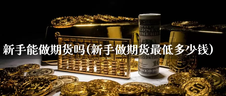 新手能做期货吗(新手做期货最低多少钱)_https://qh.wpmee.com_黄金期货直播间_第1张