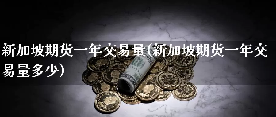 新加坡期货一年交易量(新加坡期货一年交易量多少)_https://qh.wpmee.com_纳指期货直播室_第1张