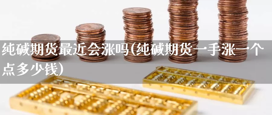 纯碱期货最近会涨吗(纯碱期货一手涨一个点多少钱)_https://qh.wpmee.com_黄金期货_第1张