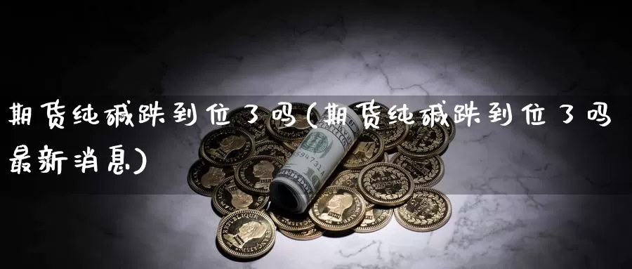 期货纯碱跌到位了吗(期货纯碱跌到位了吗最新消息)_https://qh.wpmee.com_原油期货直播间_第1张