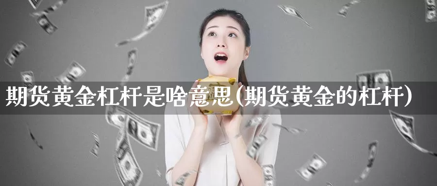 期货黄金杠杆是啥意思(期货黄金的杠杆)_https://qh.wpmee.com_黄金直播室_第1张