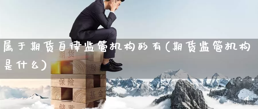 属于期货自律监管机构的有(期货监管机构是什么)_https://qh.wpmee.com_国际期货_第1张