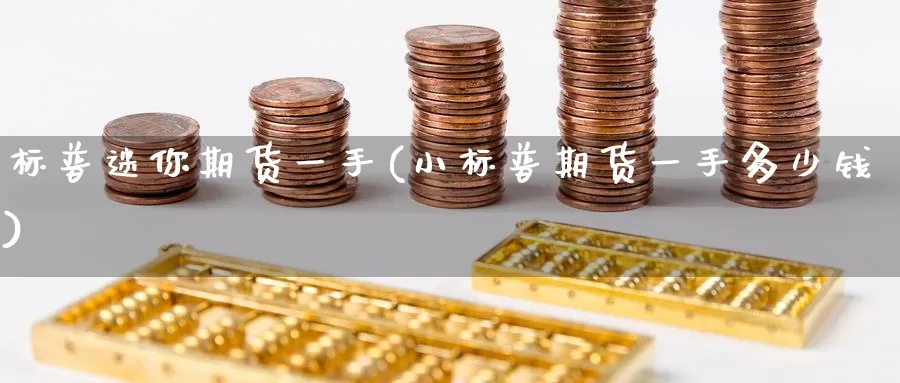 标普迷你期货一手(小标普期货一手多少钱)_https://qh.wpmee.com_黄金直播室_第1张