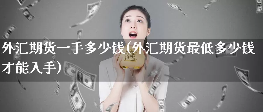 外汇期货一手多少钱(外汇期货最低多少钱才能入手)_https://qh.wpmee.com_原油期货直播间_第1张