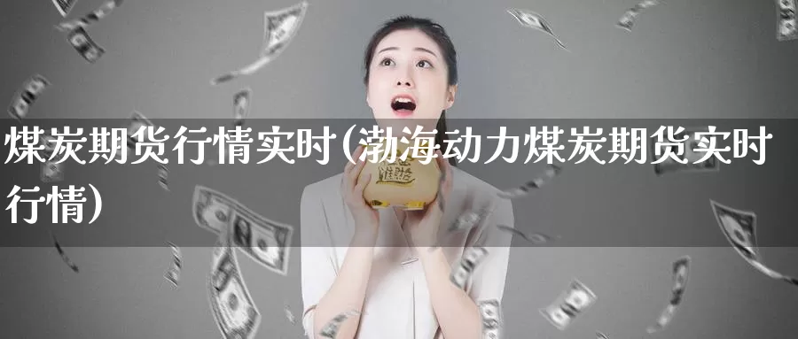 煤炭期货行情实时(渤海动力煤炭期货实时行情)_https://qh.wpmee.com_国际期货_第1张