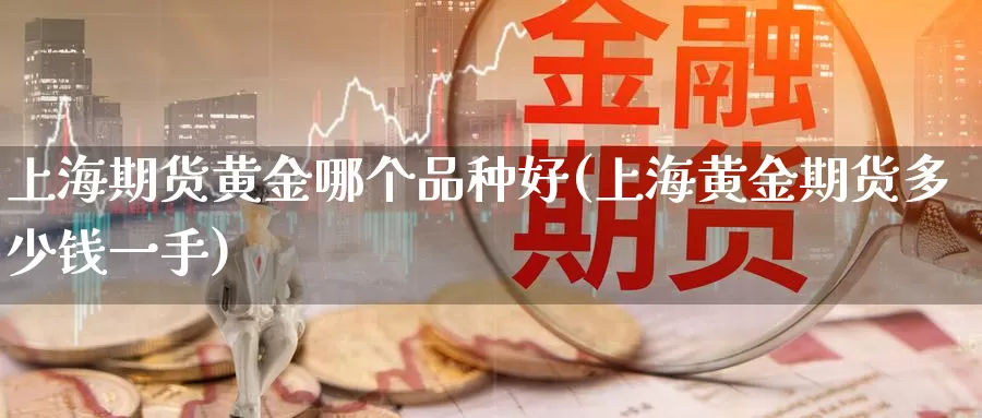 上海期货黄金哪个品种好(上海黄金期货多少钱一手)_https://qh.wpmee.com_国际期货_第1张