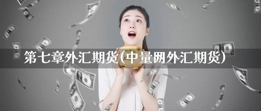 第七章外汇期货(中量网外汇期货)_https://qh.wpmee.com_原油期货_第1张