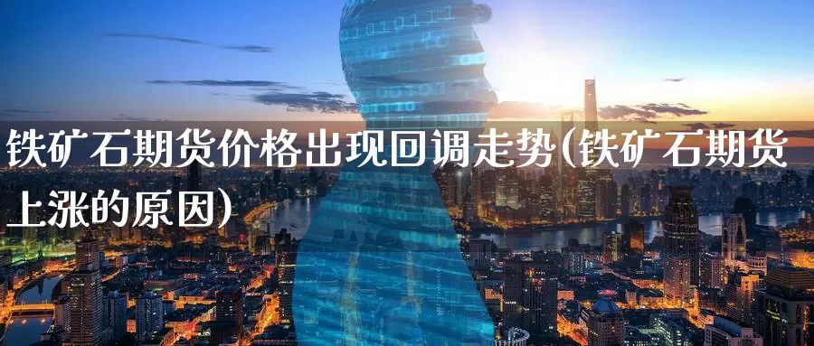 铁矿石期货价格出现回调走势(铁矿石期货上涨的原因)_https://qh.wpmee.com_期货科普_第1张